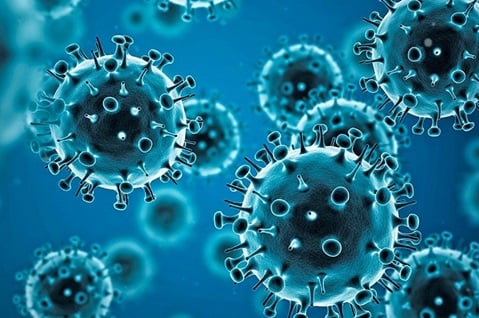 how much danger is human metapneumovirus