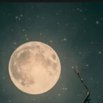 2025 last amavasye benefits to these zodiac signs