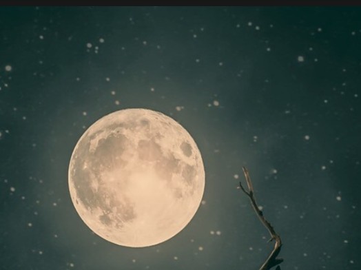 2025 last amavasye benefits to these zodiac signs