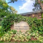 How to apply for JNCASR Recruitment