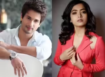 Bollywood Shahid Kapoor and Rashmika Mandanna to star in new film