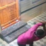 crime Man takes dog life for barking at wife in Bengaluru