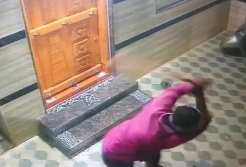 crime Man takes dog life for barking at wife in Bengaluru