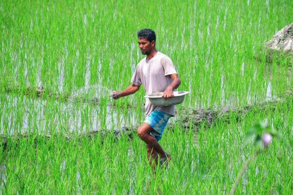 Narendra modi government raises fertilizer subsidy