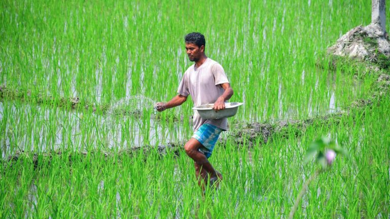 Narendra Modi: ಮೋದಿ ಸರ್ಕಾರದಿಂದ ರೈತರಿಗೆ ಸಿಹಿಸುದ್ದಿ, ರಸಗೊಬ್ಬರ ಸಬ್ಸಿಡಿ ಹೆಚ್ಚಳ