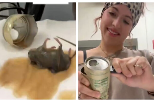 Viral video woman find dead mouse in drink bottle