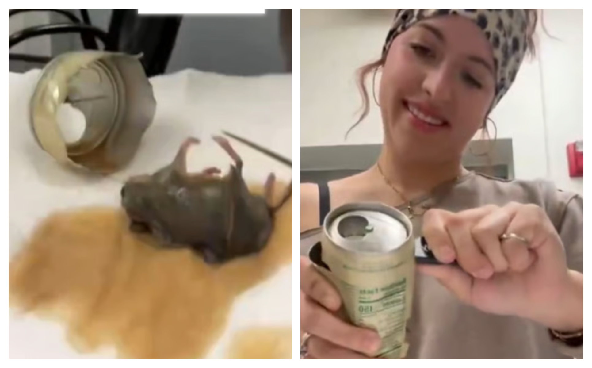 Viral video woman find dead mouse in drink bottle