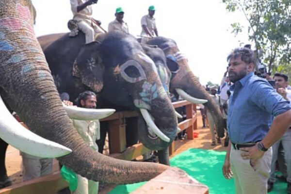 Aadhar card to elephants for DNA Profiling