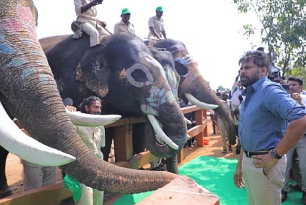 Aadhar card to elephants for DNA Profiling