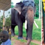 elephant arjuna memorial inaugurated in Hassana