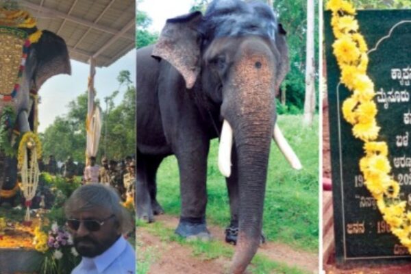 elephant arjuna memorial inaugurated in Hassana