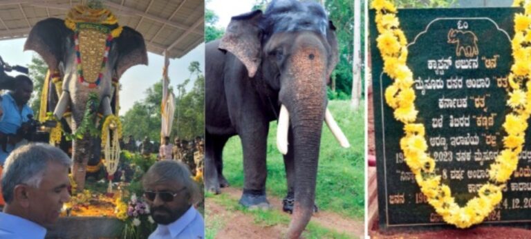 Arjuna: ಗಜರಾಜ ಅರ್ಜುನನ ನೆನಪು ಅಮರ: ದಬ್ಬಳಕಟ್ಟೆಯಲ್ಲಿ ಭವ್ಯ ಸ್ಮಾರಕ ಉದ್ಘಾಟಿಸಿದ ಸಚಿವ ಈಶ್ವರ ಖಂಡ್ರೆ