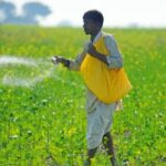 PM-Kisan sms of 1 paise shocked Maharashtra farmer