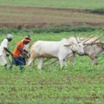 PM kisan yojana 23 installment release on June 20 2026