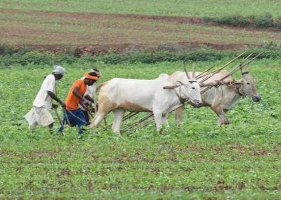 PM kisan yojana 23 installment release on June 20 2026