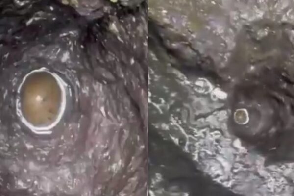 Miracle in trimbakeshwar temple shiva linga found