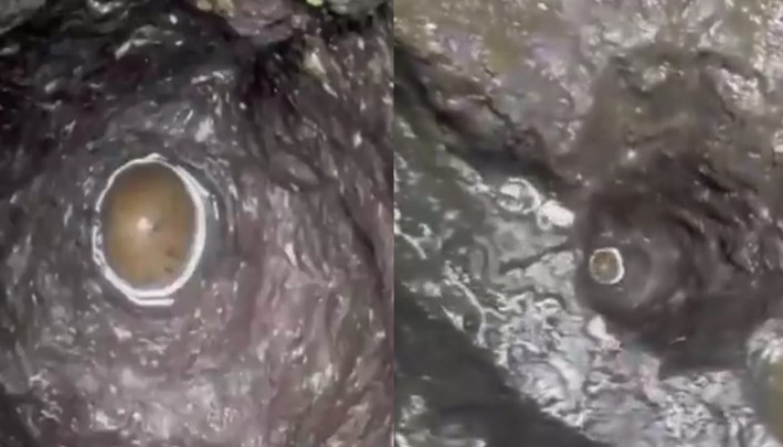 Miracle in trimbakeshwar temple shiva linga found