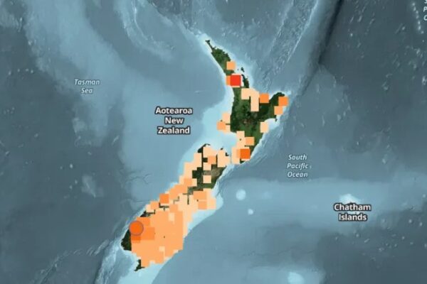 Big news New Zealand Earthquake Authorities Issue Tsunami Warning and Put Coastal Areas on High Alert