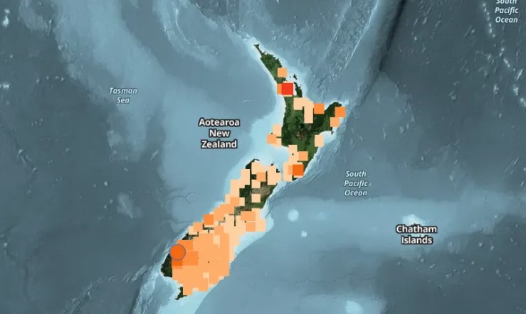 Big news New Zealand Earthquake Authorities Issue Tsunami Warning and Put Coastal Areas on High Alert