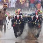 Dasara Kambala Row FIR Against Sports Officer Over Illegal Tree Cutting in Mysuru