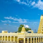 Mysuru Chamundi hills yathindra Siddaramaiah gives information about ashada days