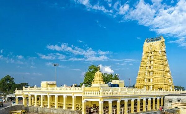 Mysuru Chamundi hills yathindra Siddaramaiah gives information about ashada days