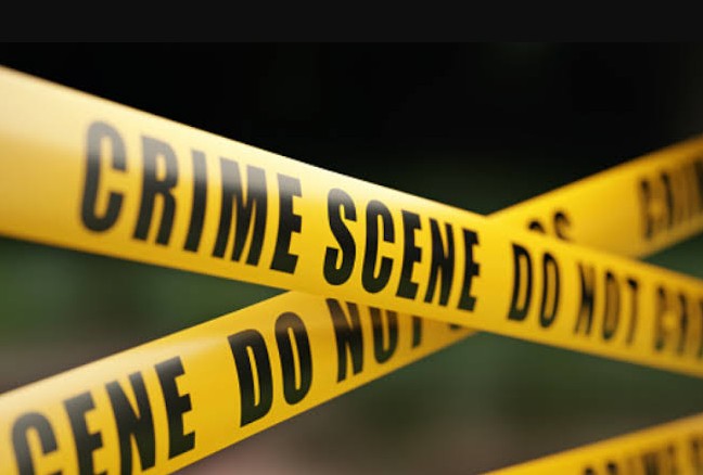 Shocking Domestic Crime Mumbai Woman Murders Husband with Cooker Lid After Fight Over Sarees