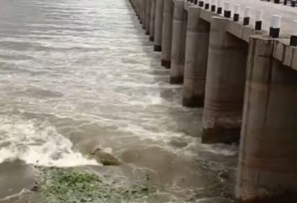 Lifeline Restored Dry Krishna River Flows Again as Maharashtra Rains Bring Relief to Farmers