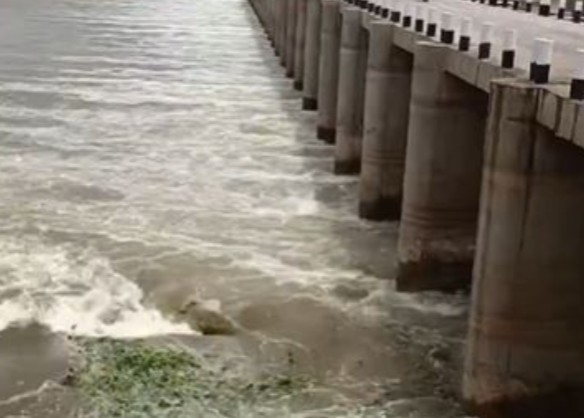 Lifeline Restored Dry Krishna River Flows Again as Maharashtra Rains Bring Relief to Farmers