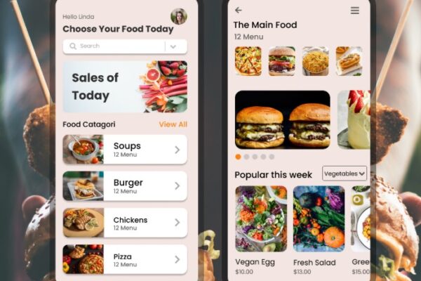 Bengaluru Crackdown Food Safety Department to Storm Centralised Kitchens Screen Online Deliveries