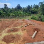 KPC Officials Target Poor Farmer Areca Garden Fencing Removed Without Any Prior Notice in sagara