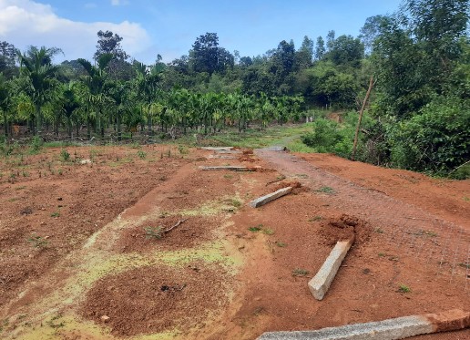 KPC Officials Target Poor Farmer Areca Garden Fencing Removed Without Any Prior Notice in sagara