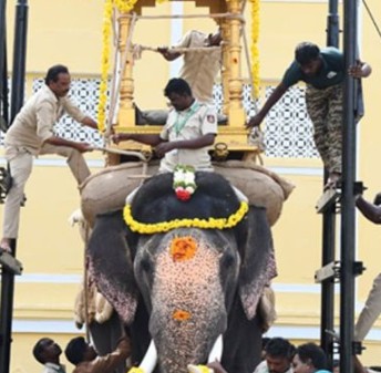Wooden Ambari Training Deferred for Mysuru Dasara Elephants Over Safety Concerns