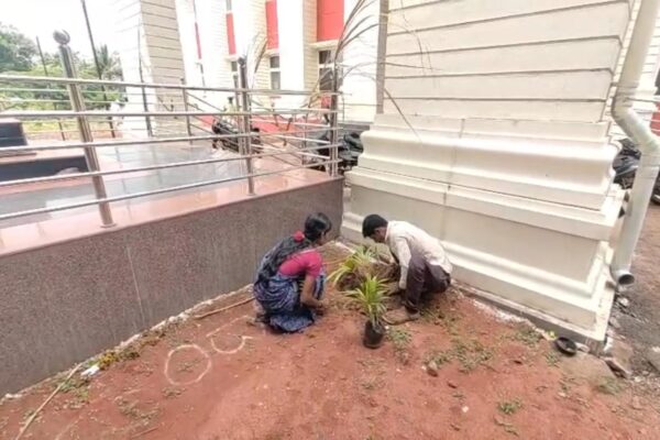 Not Jail Planting 50 Trees is the Punishment Chikkodi Court Unique Verdict for Drunken Brawl