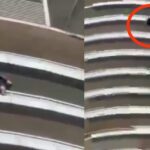 Crime Noida Supernova Tragedy 35 Year Old Man Jumps from 43rd Floor After Financial Distress