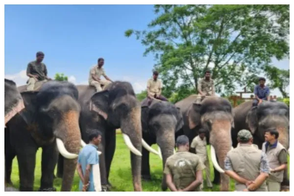 Grand Farewells in Mysuru Elephant Troop Returns Home After Magnificent Dasara Celebrations