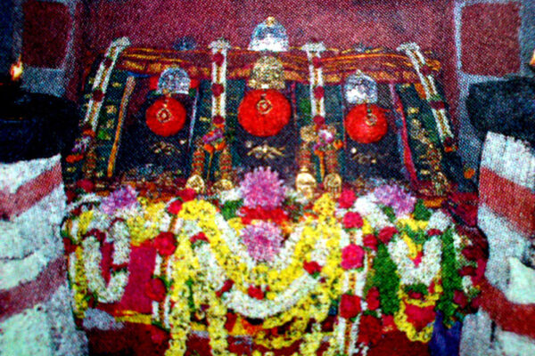 Hasanamba utsava temple Doors Open Annual Darshan Festival Begins in Hassan