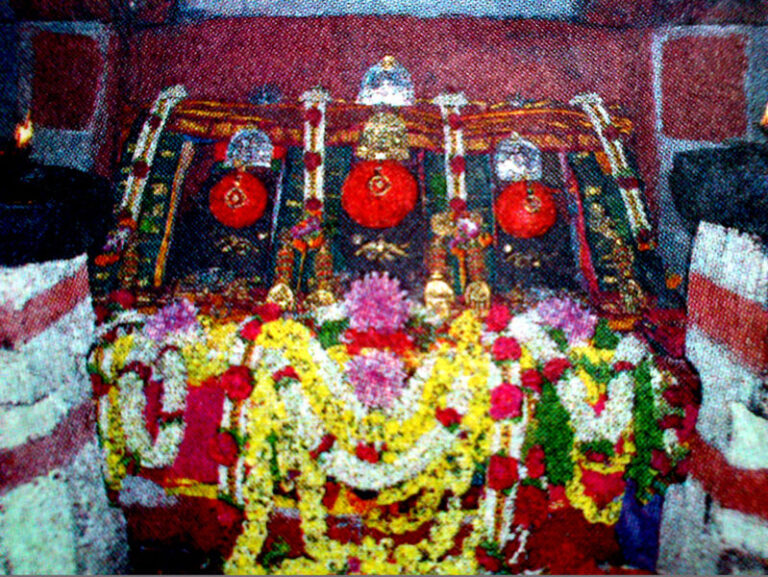 Hassanamba Utsava: ಹಾಸನಾಂಬೆ ದರ್ಶನೋತ್ಸವಕ್ಕೆ ಧಾರ್ಮಿಕ ಚಾಲನೆ: ಕಣ್ಮನ ಸೆಳೆಯುವ ಅದ್ಧೂರಿ ಪುಷ್ಪಾಲಂಕಾರ!