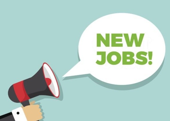Job alert Big News for Job Seekers Karnataka Education Department Announces Massive Recruitment of 15 000 Teachers