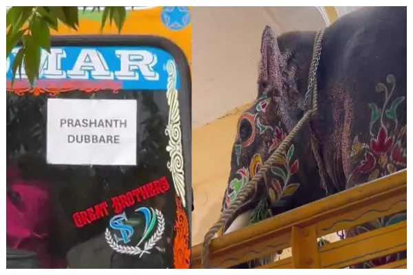 From Royal Duties to Forest Trails Mysuru Dasara Elephant Prashanta Heads Back Home